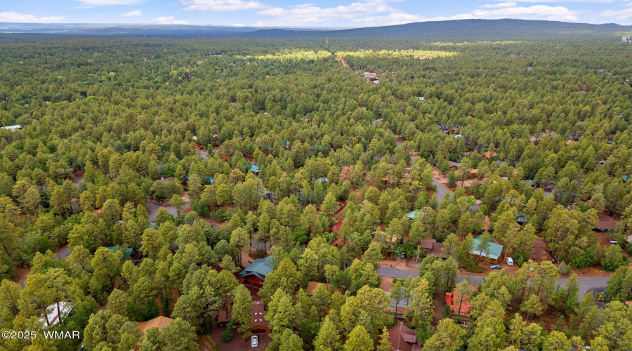 3834TurkeyTrackRd-Pinetop-AZ-28