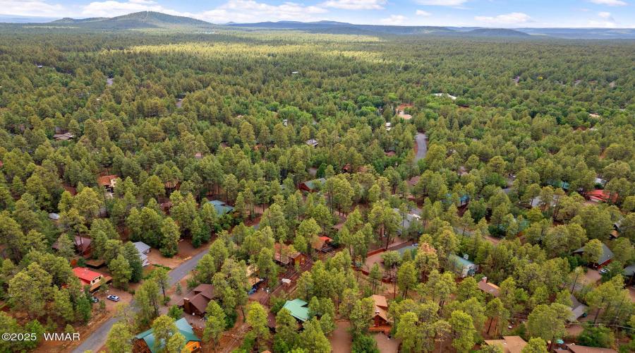 3834TurkeyTrackRd-Pinetop-AZ-29