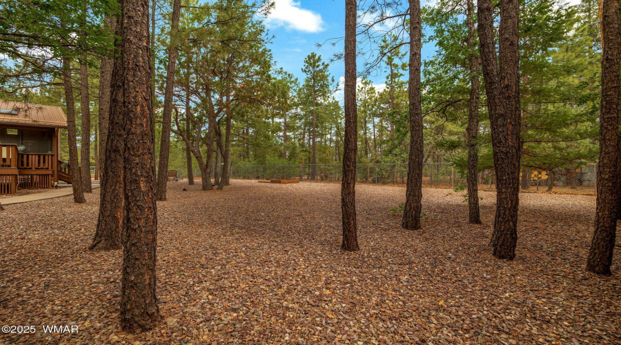 4952HighDr-Lakeside-AZ-38