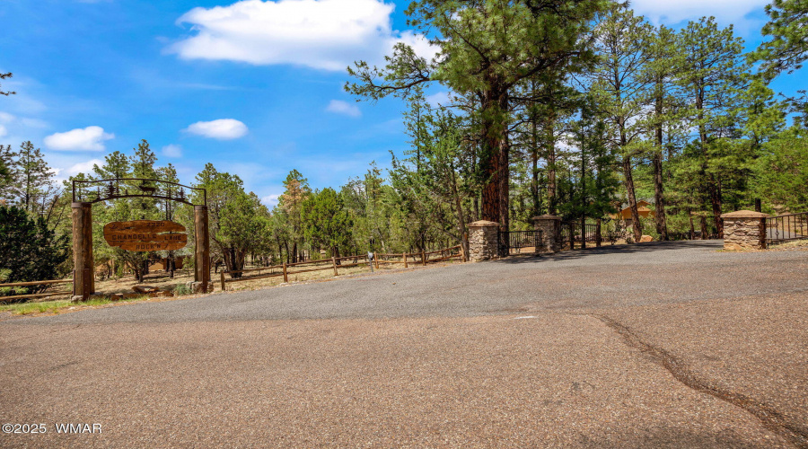 2320ChanelleLn-HeberOvergaard-AZ-2