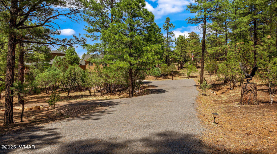 2320ChanelleLn-HeberOvergaard-AZ-3