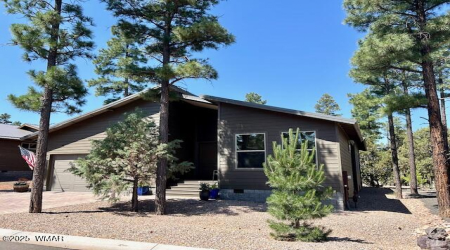 Lot 31