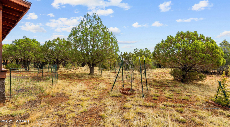 1537GeorgannCircle-HeberOvergaard-AZ-32
