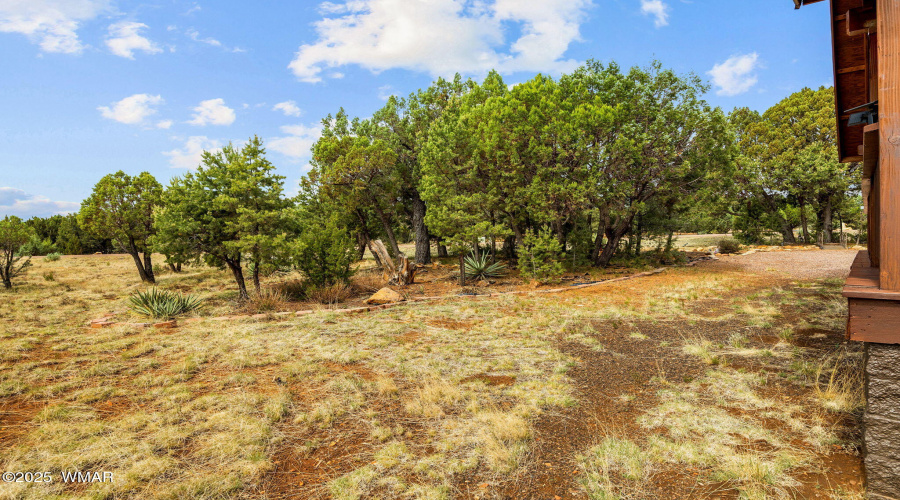 1537GeorgannCircle-HeberOvergaard-AZ-33