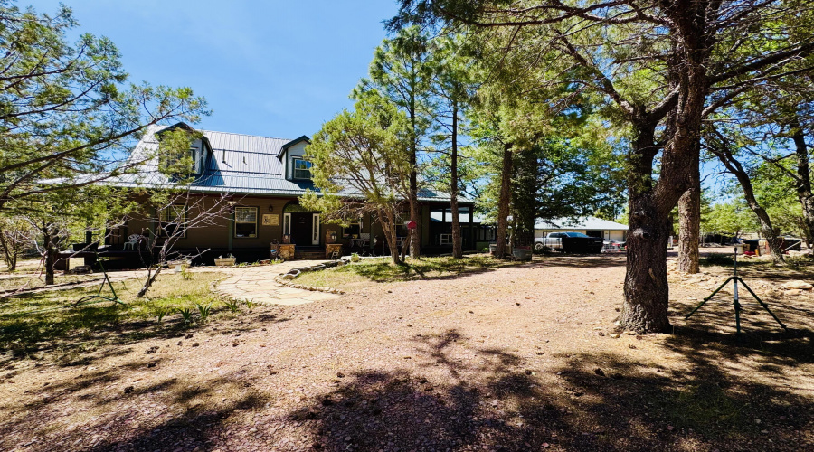 Front view