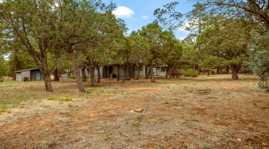 2235MoccasinDr-HeberOvergaard-AZ-28
