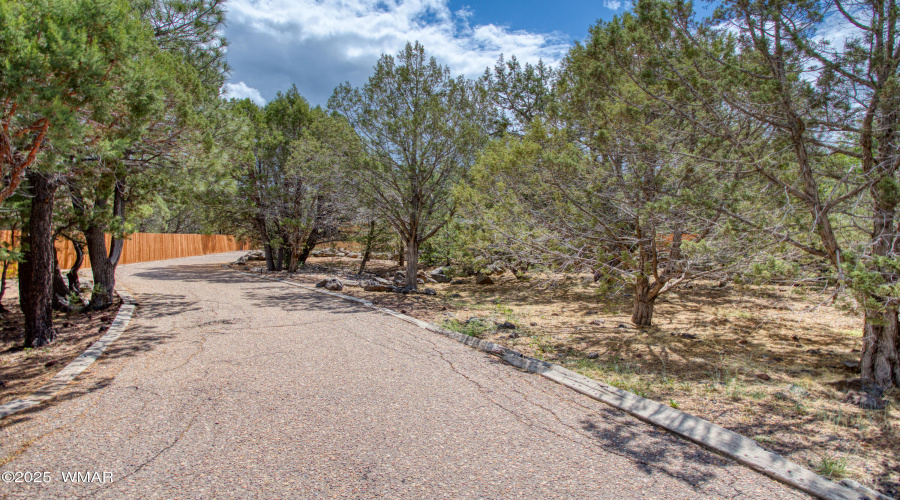 Driveway
