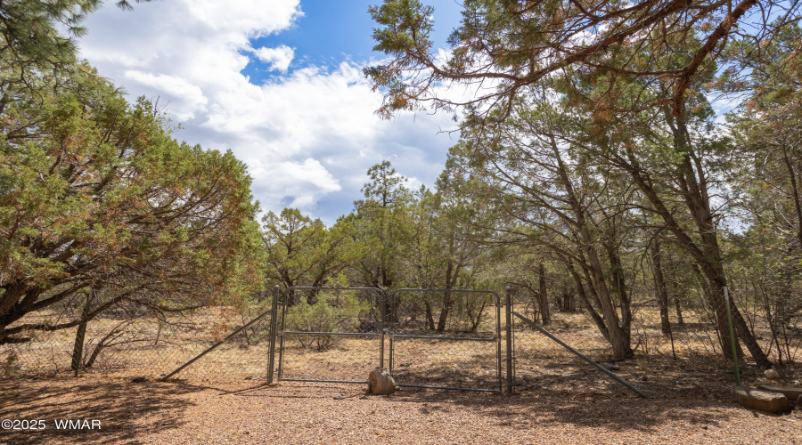 Back Property Gate