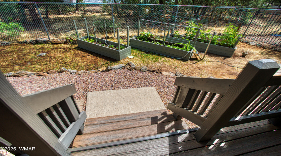 Rear Yard