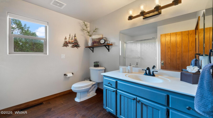 Guest bathroom