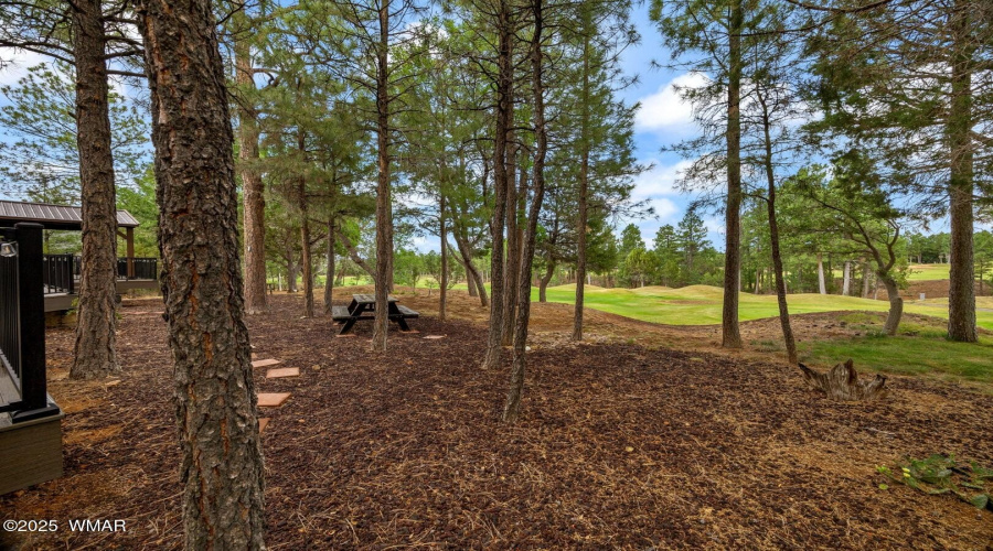 Ground level golf view