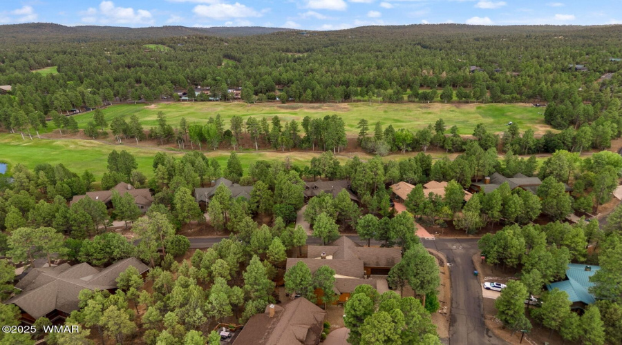 3950SugarPineLoop-ShowLow-AZ-34