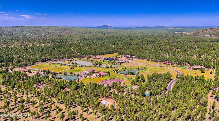 Community Aerial