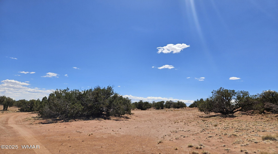 Resized_20250709_133540