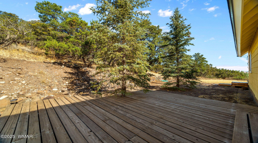 Back Deck