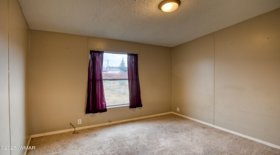 Paxmanphoto_PAX_6484