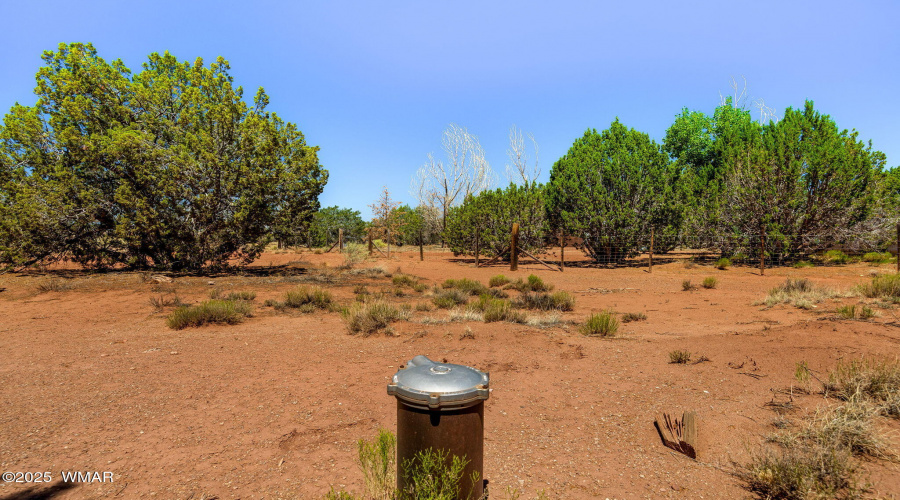 4N5501-Concho-AZ-24