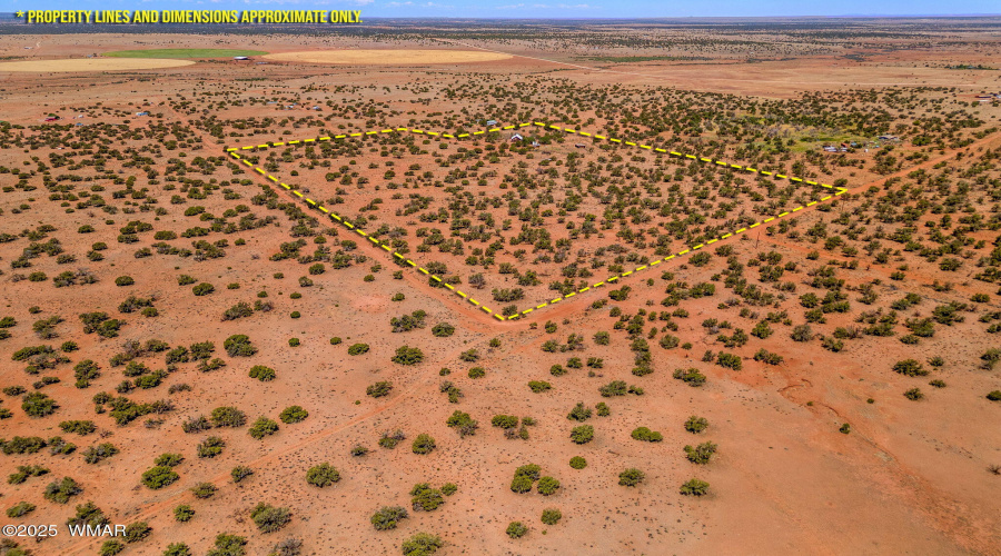 4N5501-Concho-AZ-31