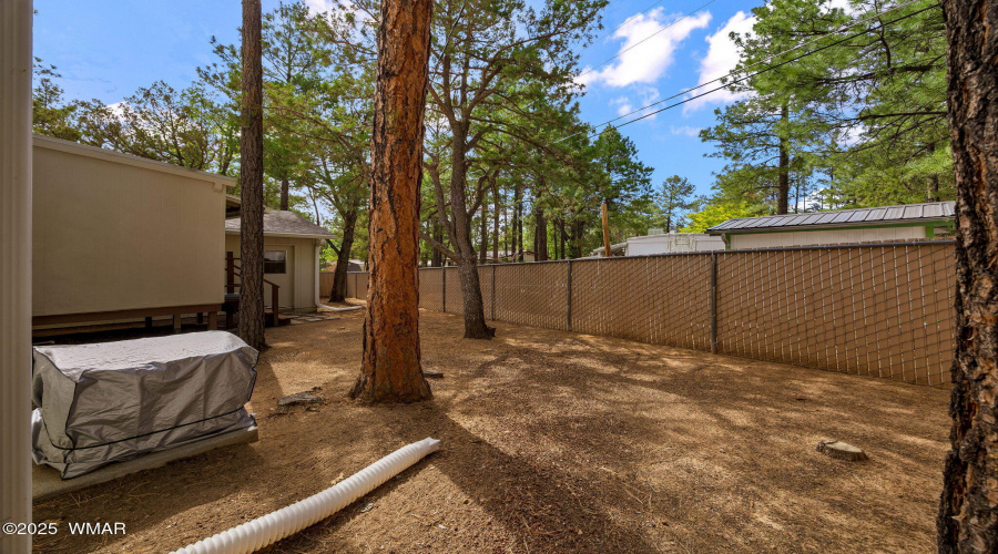 4260WCooleySt-ShowLow-AZ-22