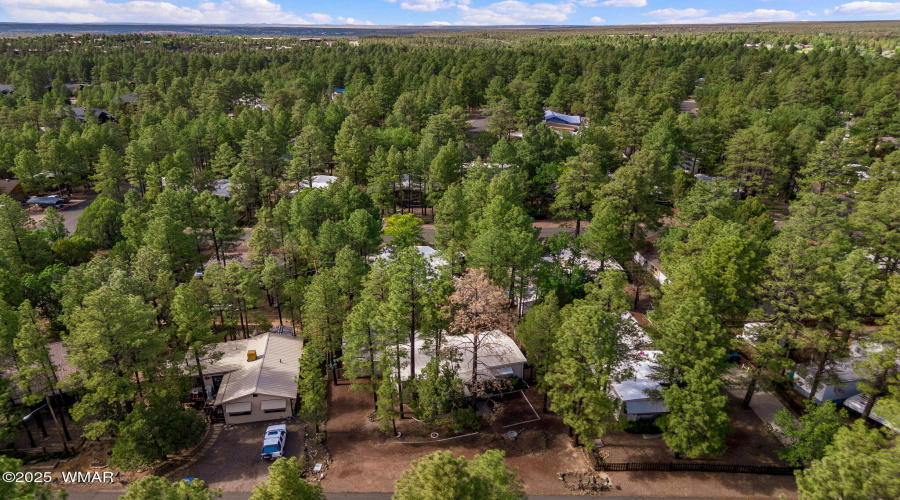 4260WCooleySt-ShowLow-AZ-28