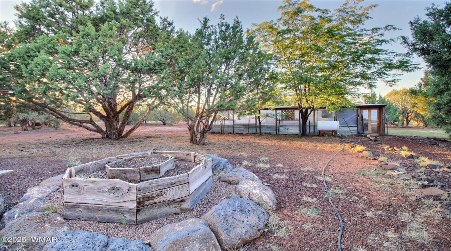 Back yard garden area.