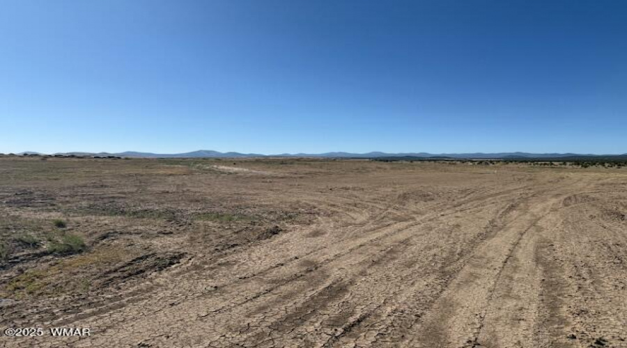 Level with Distant View