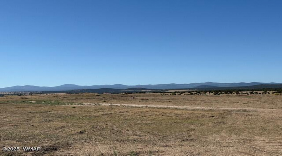 Distant View