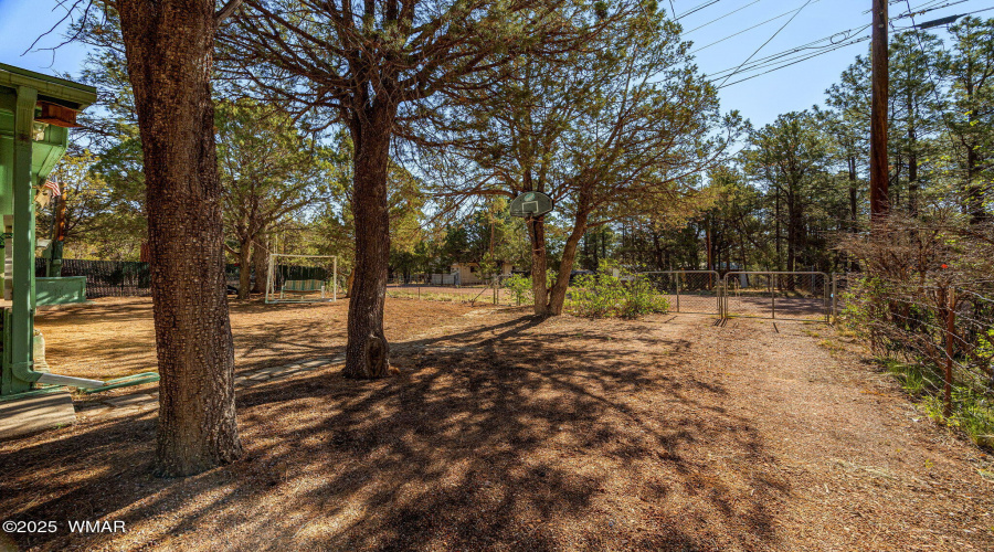 2888Dale-Heber-AZ-22