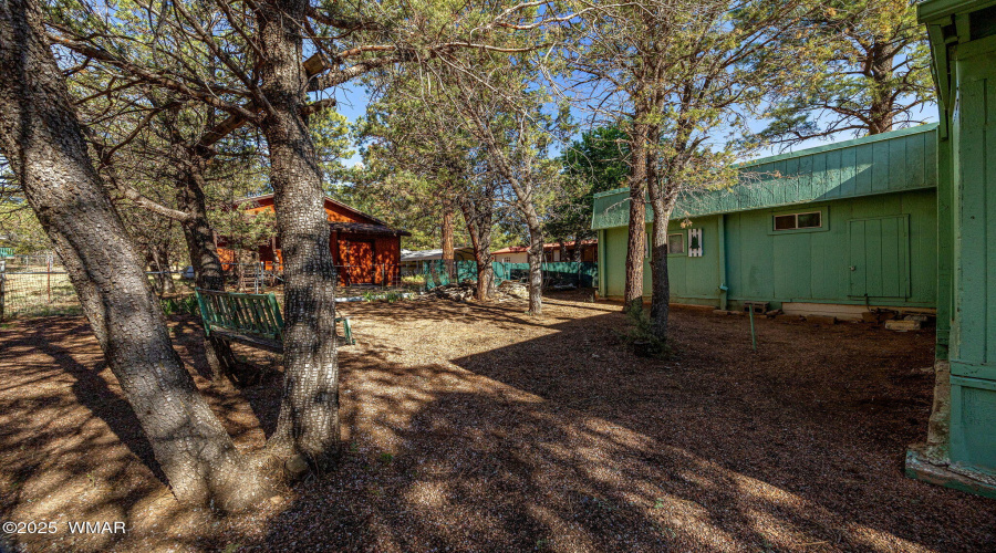 2888Dale-Heber-AZ-23