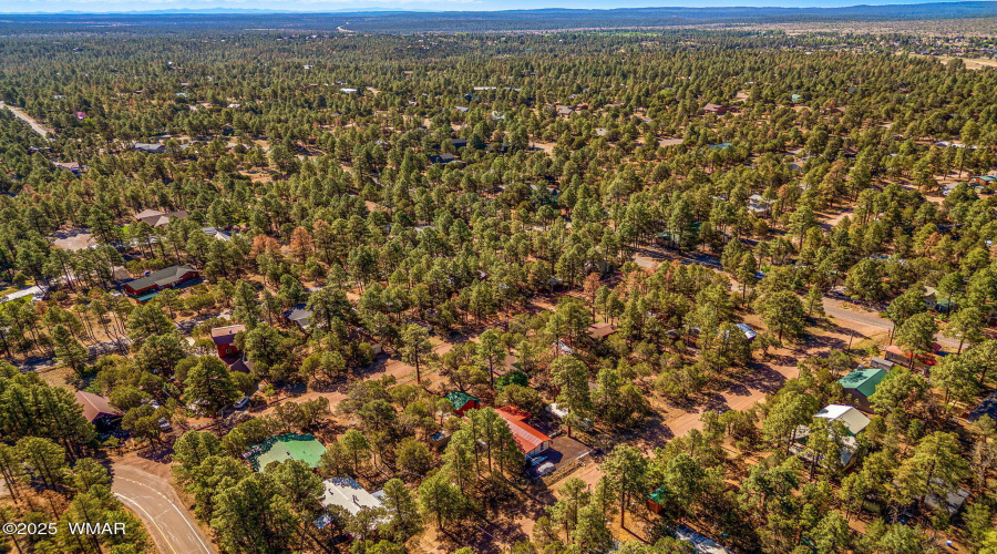 2888Dale-Heber-AZ-29