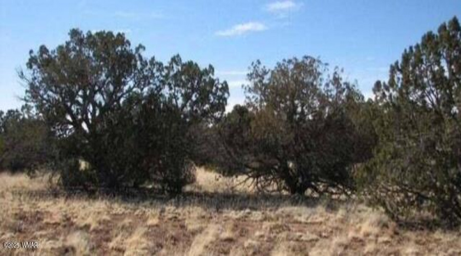 41 acres