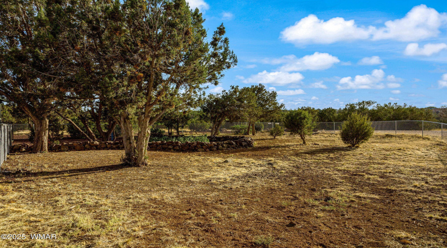Front yard