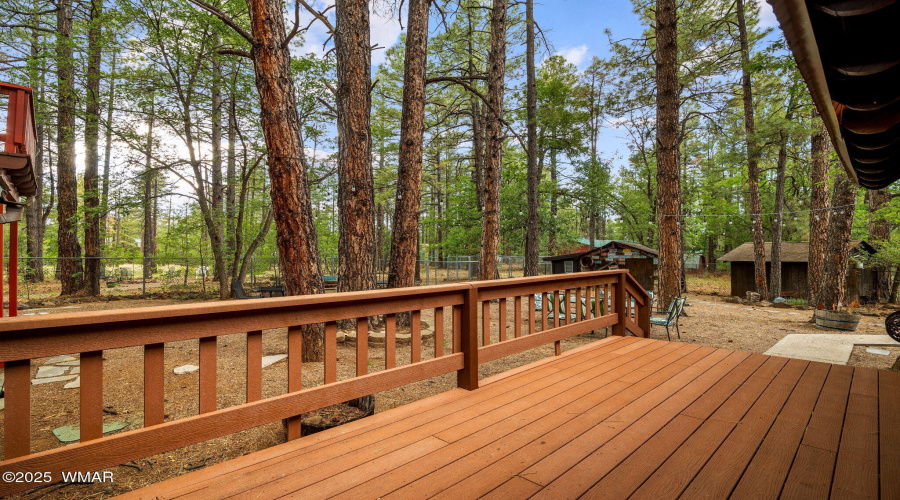 2444SJanLn-Pinetop-AZ-42