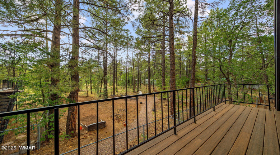 2444SJanLn-Pinetop-AZ-36