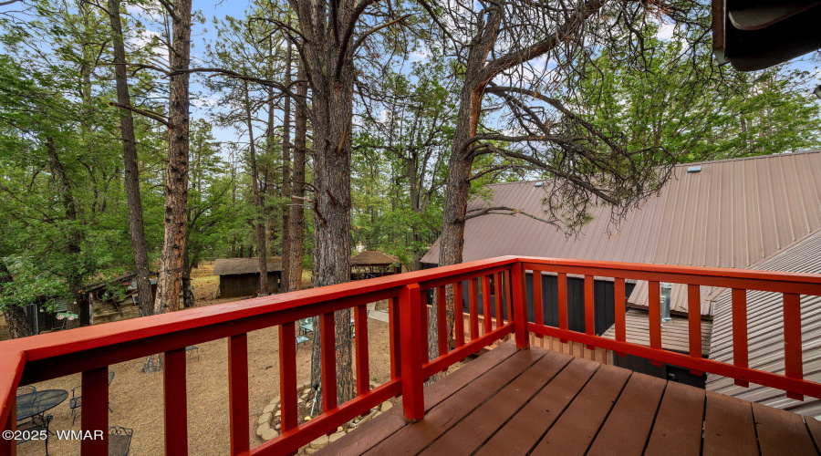 2444SJanLn-Pinetop-AZ-37