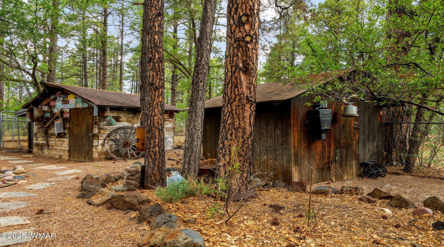2444SJanLn-Pinetop-AZ-46