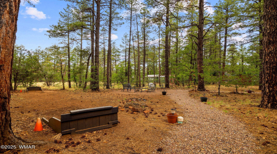 2444SJanLn-Pinetop-AZ-47