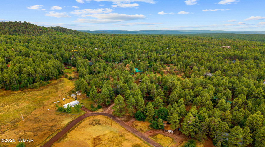 2444SJanLn-Pinetop-AZ-52