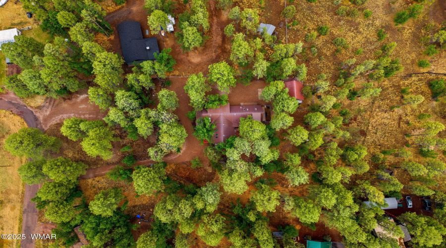 2444SJanLn-Pinetop-AZ-53