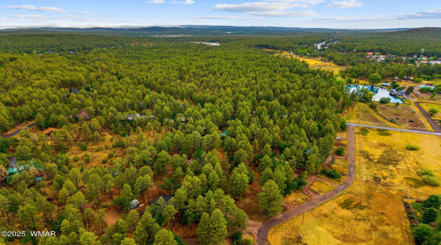 2444SJanLn-Pinetop-AZ-54