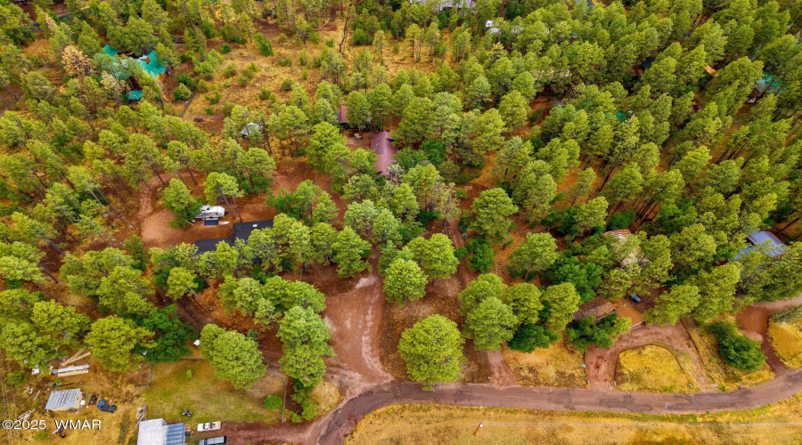 2444SJanLn-Pinetop-AZ-55
