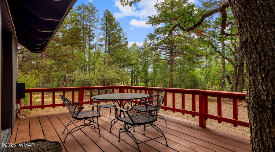 2444SJanLn-Pinetop-AZ-5
