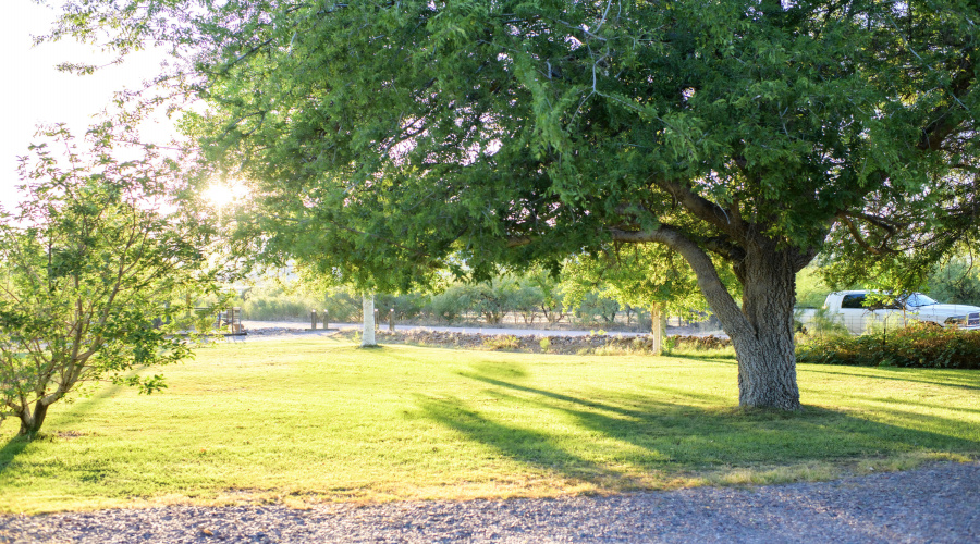 side patio