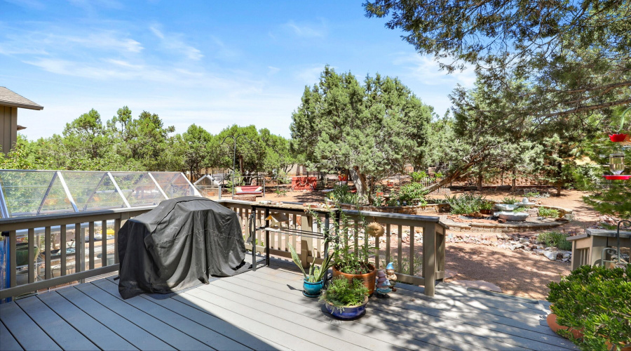 Back Patio