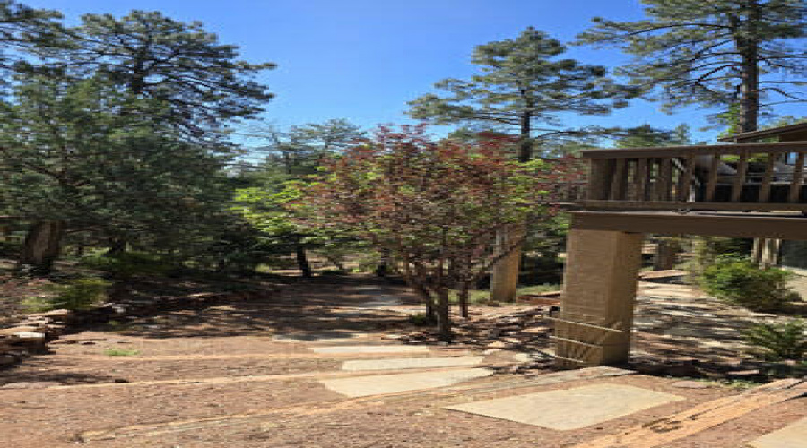 walk side