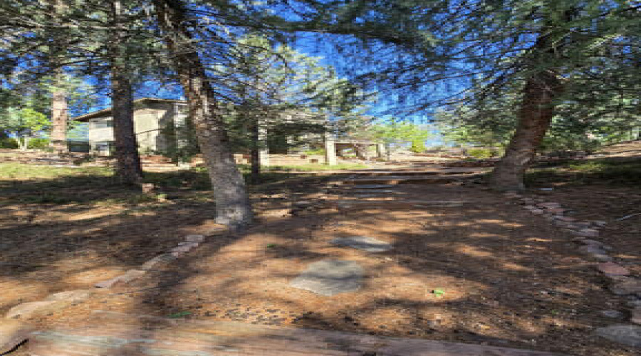 back walk