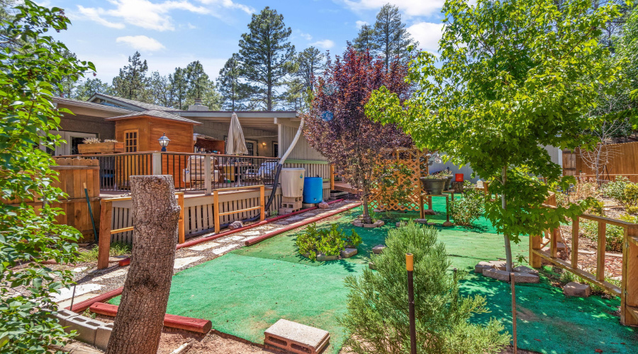 Back yard