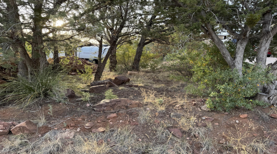 View down property line looking east