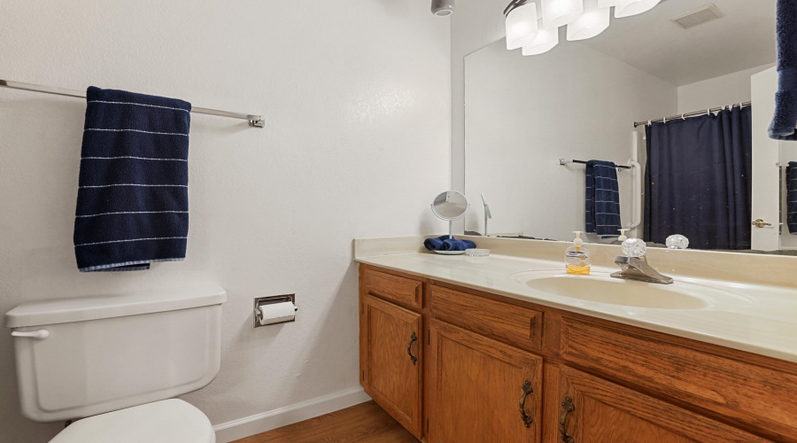Guest Bathroom 1