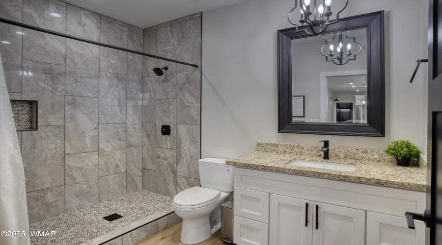 Guest bath- downstairs